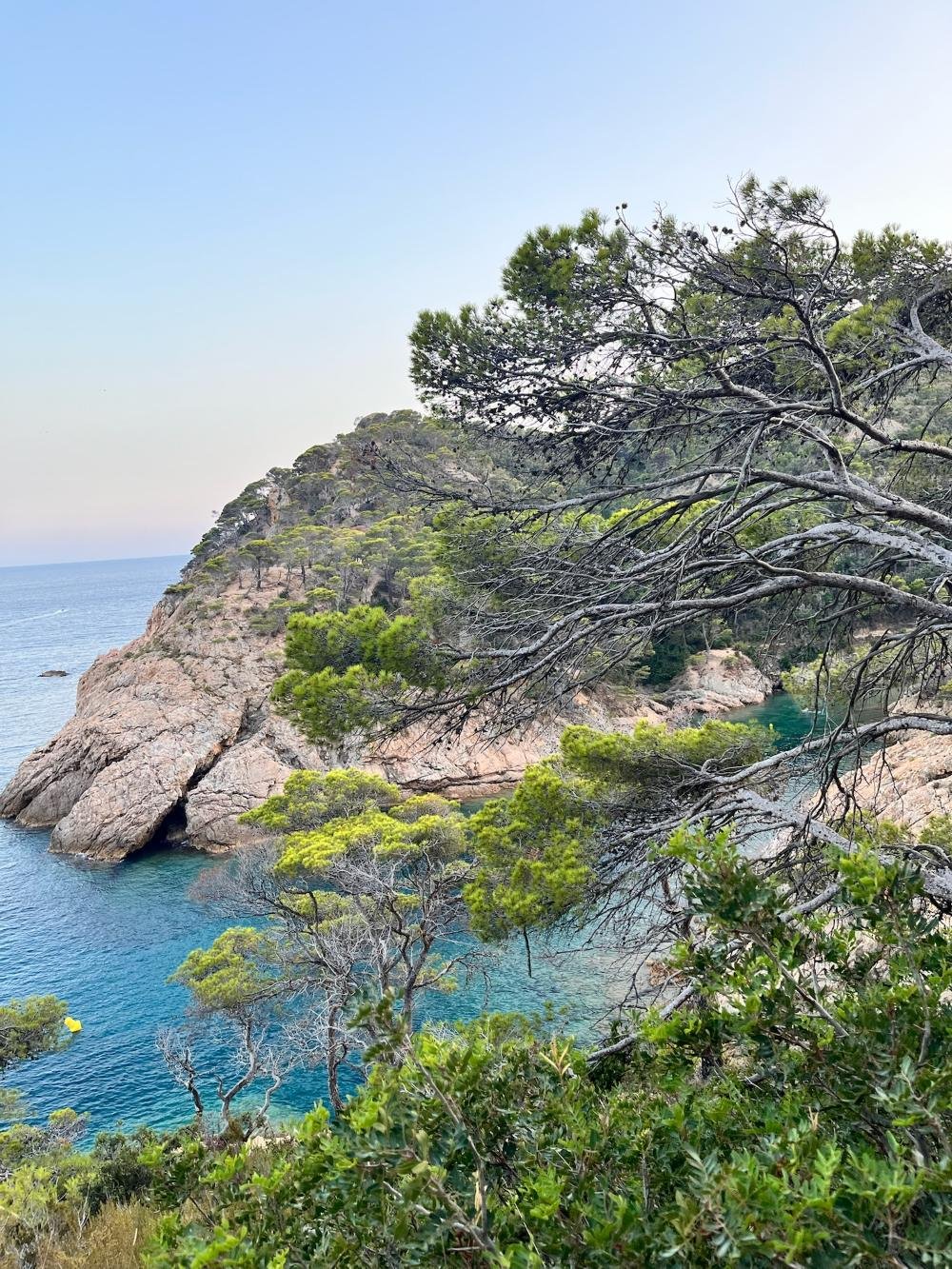 Cala de aguas turquesas junto al Camí de Ronda en Tossa de Mar